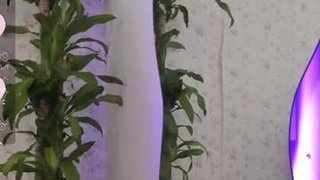sophia_walkett