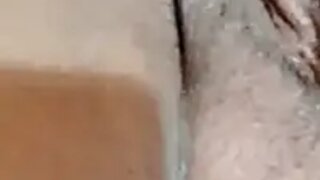 Brunapimenta150479