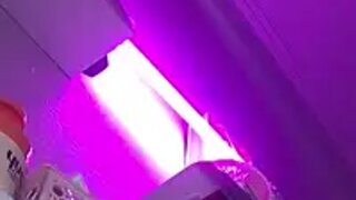 --Hotgirltoy--