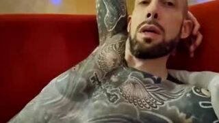calvin_climax