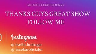 massivecockfuckbunny