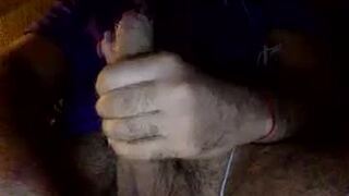 snakesinn