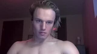 thelevimeyers
