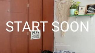 thetropicalseduction